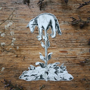 May include: A black and white illustration of a bear standing on a plant with large leaves. The artwork is set against a wooden background, with dried flowers and branches around the edges. The bear is looking down.