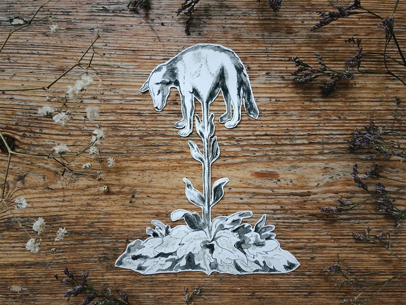 May include: A black and white illustration of a bear standing on a plant with large leaves. The artwork is set against a wooden background, with dried flowers and branches around the edges. The bear is looking down.