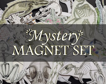 May include: A set of skeleton animal magnets with a gray background. The magnets feature a variety of animals, including a whale, a cat, a frog, and a rat. The text "Mystery Magnet Set" is written in gold letters on a gray banner.