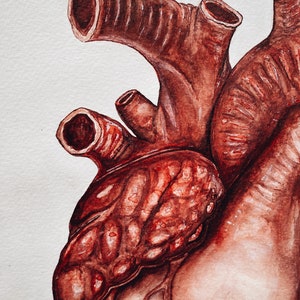 Puede incluir: Una pintura detallada en acuarela de un coraz&oacute;n humano. El coraz&oacute;n se representa en tonos rojos y marrones, con intrincadas venas y c&aacute;maras visibles. La pintura captura la complejidad anat&oacute;mica del coraz&oacute;n.