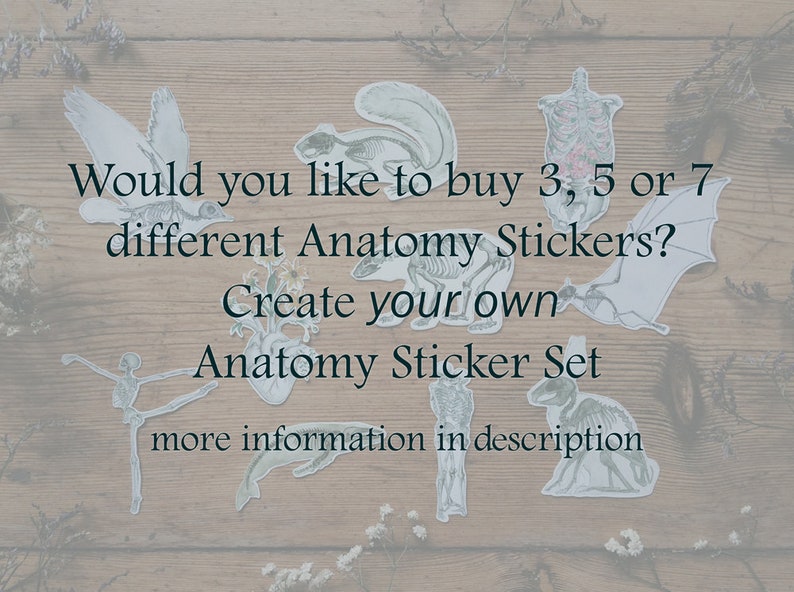 May include: A set of anatomical stickers featuring various animal skeletons, including a bird, bat, and rabbit. The text on the image reads "Would you like to buy 3, 5 or 7 different Anatomy Stickers? Create your own Anatomy Sticker Set more information in description."