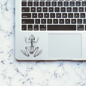 Op de afbeelding: Een zwart-witte illustratie van een skelet van een kikker op een zilveren laptop.