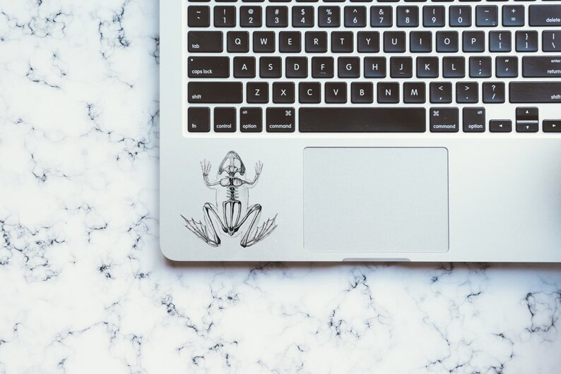 Op de afbeelding: Een zwart-witte illustratie van een skelet van een kikker op een zilveren laptop.