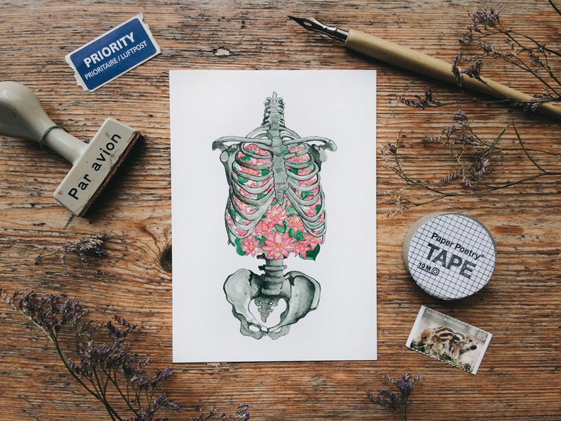 May include: A watercolor illustration of a human ribcage with pink flowers growing inside. The illustration is on a white background and is surrounded by a wooden surface.
