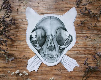 Op de afbeelding: Een zwart-witte tekening van een katten schedel met een gedetailleerde illustratie van de botten en tanden. De schedel is getekend op een witte achtergrond en heeft een eenvoudige omtrek van een kattenkop eromheen.