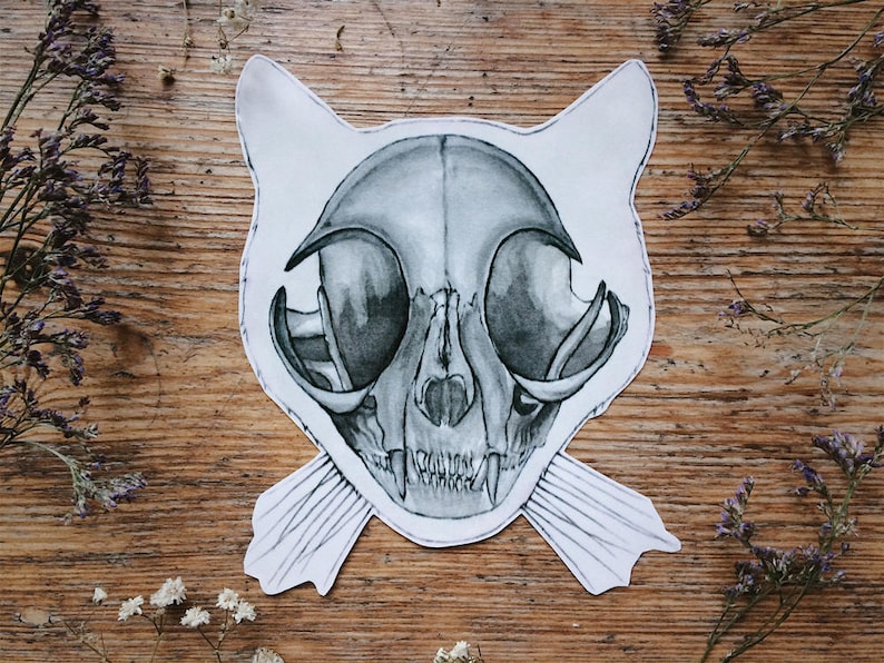 May include: A black and white drawing of a cat skull with a detailed illustration of the bones and teeth. The skull is drawn on a white background and has a simple outline of a cat's head around it.