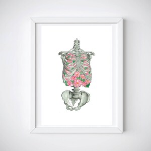May include: A skeletal torso with pink flowers blooming inside the rib cage. The flowers are a light pink with green leaves. The skeletal torso is a light gray color.