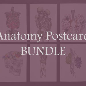 Op de afbeelding: Anatomie Postkaartbundel met zes illustraties. De afbeeldingen bevatten gedetailleerde tekeningen van het menselijk skelet, longen en een schedel met bloemen. De tekst "Anatomy Postcard BUNDLE" is in het wit weergegeven.