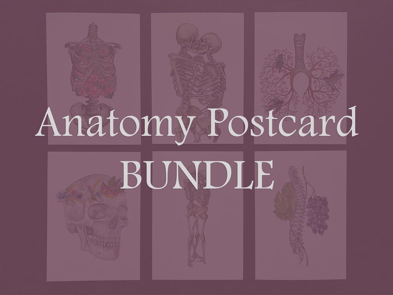 Op de afbeelding: Anatomie Postkaartbundel met zes illustraties. De afbeeldingen bevatten gedetailleerde tekeningen van het menselijk skelet, longen en een schedel met bloemen. De tekst "Anatomy Postcard BUNDLE" is in het wit weergegeven.