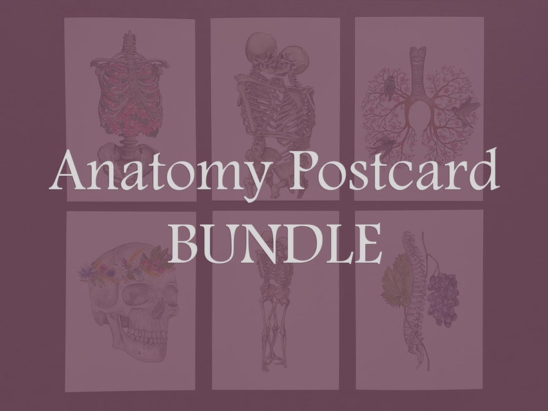 Anatomical Postcard Bundle: Set of 10 FREE GIFT, Watercolor Anatomy Skeleton Human Skull Bloomimg Ribs, Spinal Brain Floral Lungs Heart image 2