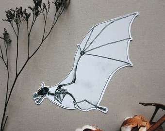 Bat Sticker: Animal Anatomy, Halloween Darkness Decal, White or Transparent Vinyl