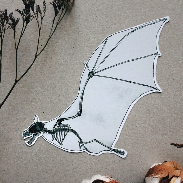 Bat Sticker: Animal Anatomy, Halloween Darkness Decal, White or Transparent Vinyl