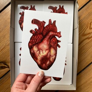 Anatomical Human Heart Postcard: Illustrated Anatomy Art, Unique Watercolor Medical Card Gift, Small Print image 4