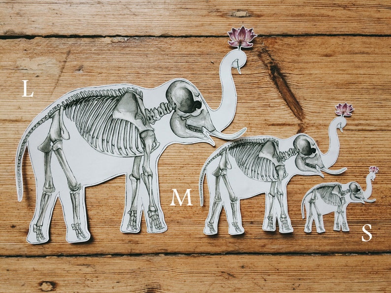 May include: Three paper cutouts of elephant skeletons in different sizes, labeled L, M, and S. Each skeleton is white with gray bones and has a pink flower on top of its head.