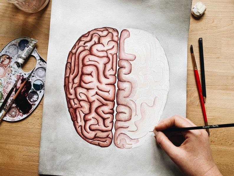 K&ouml;nnte beinhalten: Ein Aquarellbild eines menschlichen Gehirns, wobei die linke und rechte Hemisph&auml;re durch eine wei&szlig;e Linie getrennt sind. Der K&uuml;nstler verwendet einen Pinsel, um Details zur rechten Hemisph&auml;re hinzuzuf&uuml;gen.