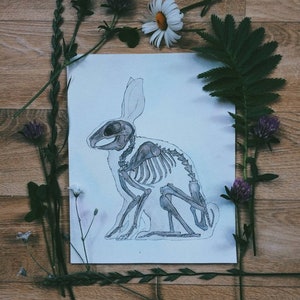以下が含まれることがあります： 白い紙の背景に描かれたウサギの骨格の白黒の図面。図面は緑の葉と紫の花に囲まれています。