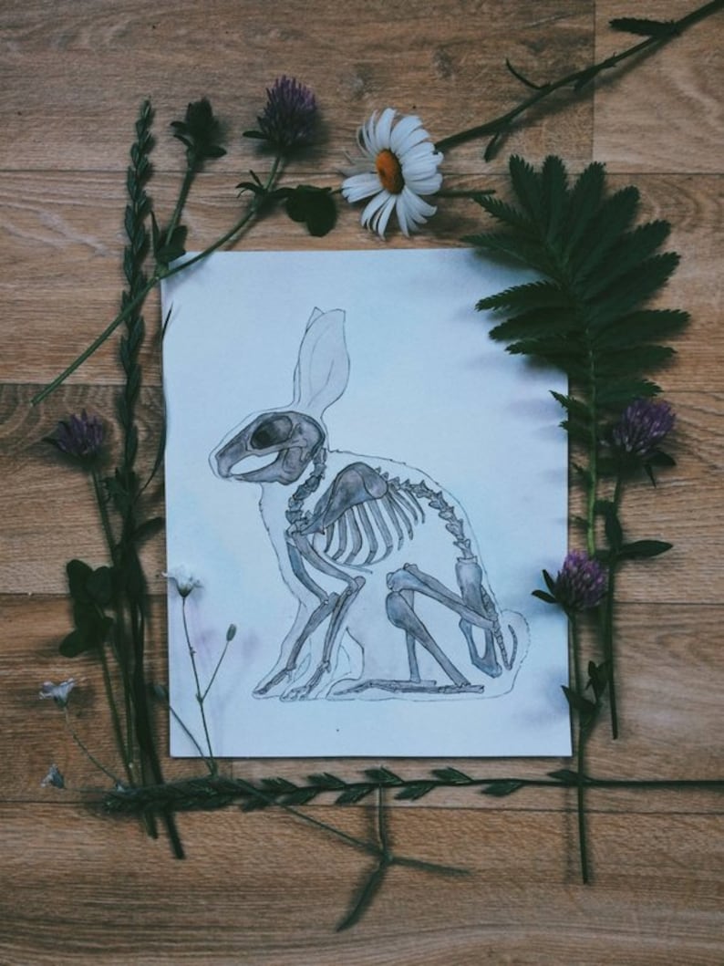 以下が含まれることがあります： 白い紙の背景に描かれたウサギの骨格の白黒の図面。図面は緑の葉と紫の花に囲まれています。