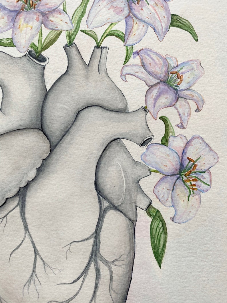 Anatomiskt hjärta med liljor akvarellmålning: Blommig läkarmottagningsdekor bild 6