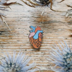 Anatomical Brain Heart Enamel Pin: Medical Anatomy Pin, Doctor Nurse ...
