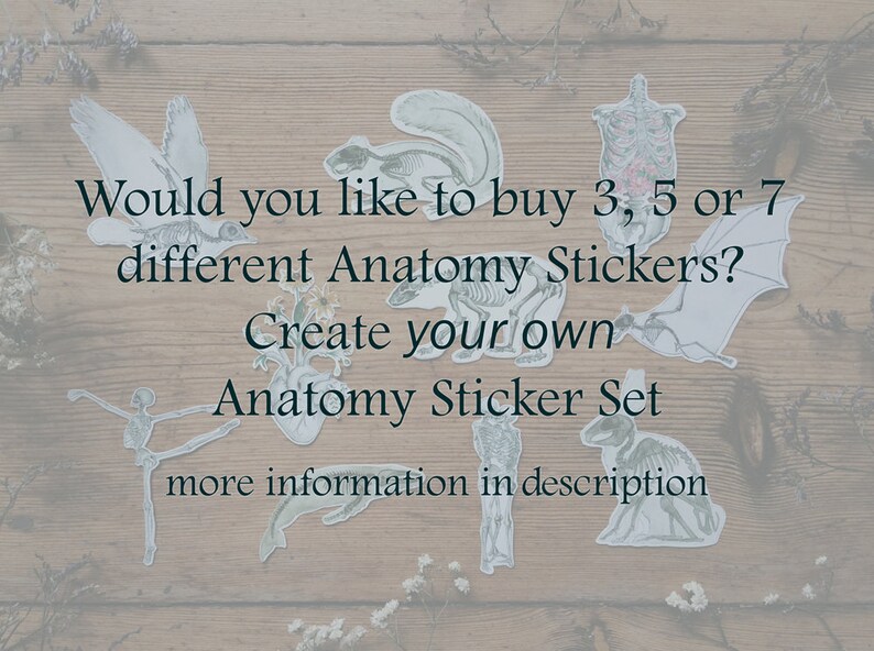 May include: A set of anatomical stickers featuring various animal skeletons, including a bird, bat, and rabbit. The text on the image reads "Would you like to buy 3, 5 or 7 different Anatomy Stickers? Create your own Anatomy Sticker Set more information in description."