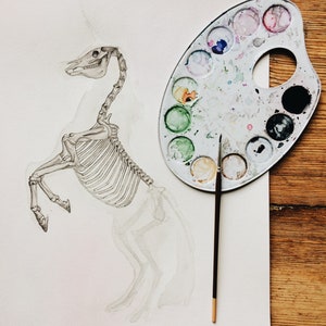 K&ouml;nnte beinhalten: Ein Aquarellbild eines Einhorn-Skeletts mit einer Farbpalette und einem Pinsel daneben. Das Einhorn steht auf seinen Hinterbeinen und hat den Kopf nach hinten geneigt. Die Farbpalette hat eine Vielzahl von Farben, darunter Blau, Gr&uuml;n, Gelb, Orange und Rot.