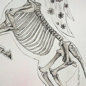 K&ouml;nnte beinhalten: Eine Schwarzwei&szlig;-Tintenzeichnung eines Pferdeskeletts mit einem floralen Design an der Seite. Das Pferd steht auf seinen Hinterbeinen mit dem Kopf nach hinten geneigt.