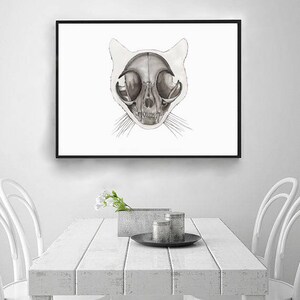 Cat Skull Print: Animal Skeleton, Anatomical Wall Art, Veterinarian Poster image 6