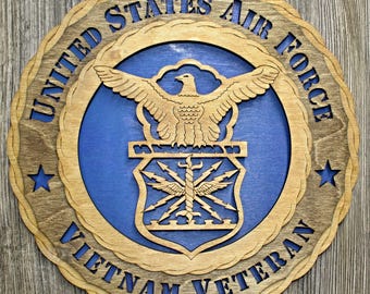 US Air Force Vietnam Veteran