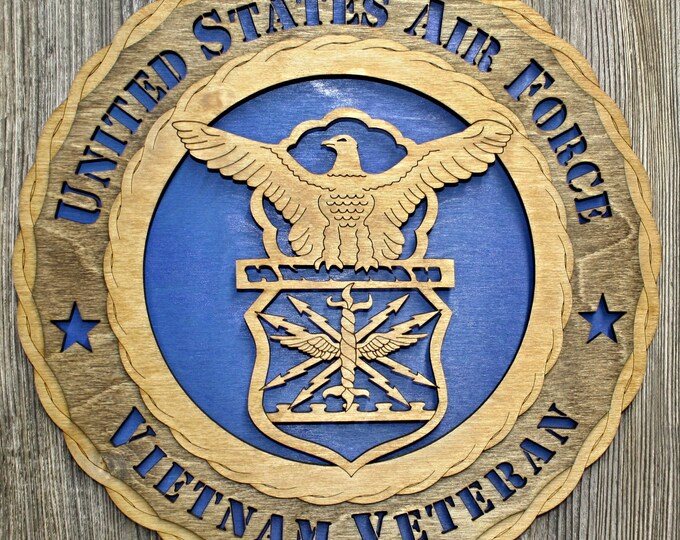 US Air Force Vietnam Veteran