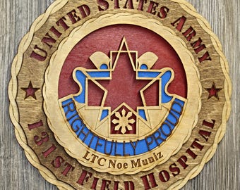 131st Field Hospital Wall Tribute
