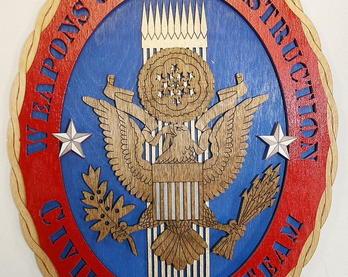 12" x 9"   Civil Support Team Wall Tribute