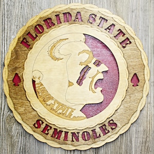 Florida State Seminoles Wall Tribute