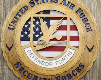 Air Force Security Forces Wall Tribute