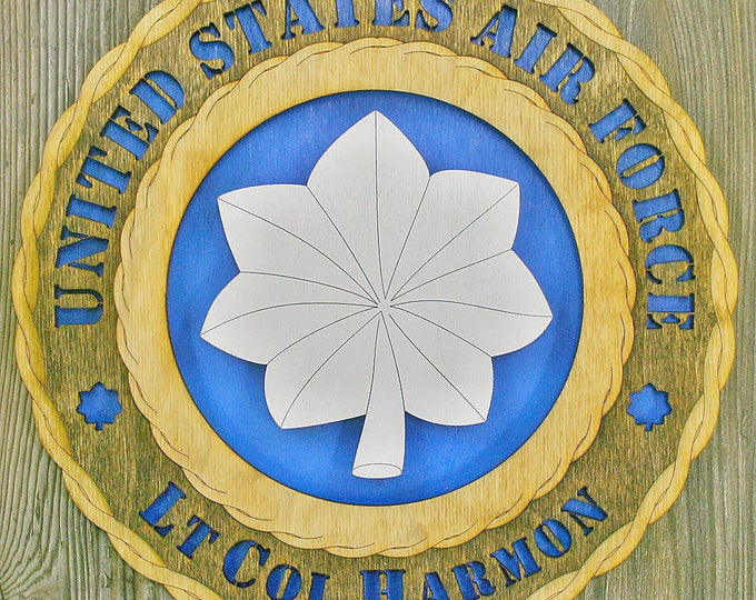 Air Force Lt Col Rank Wall Tribute