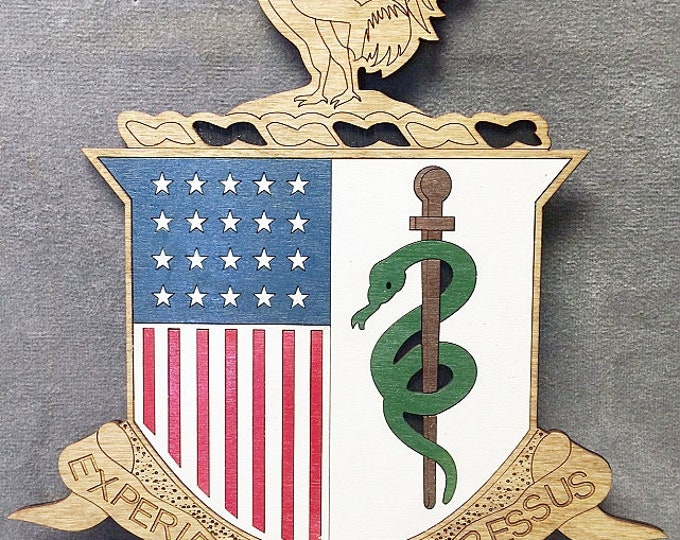 Custom Army AMEDD Crest