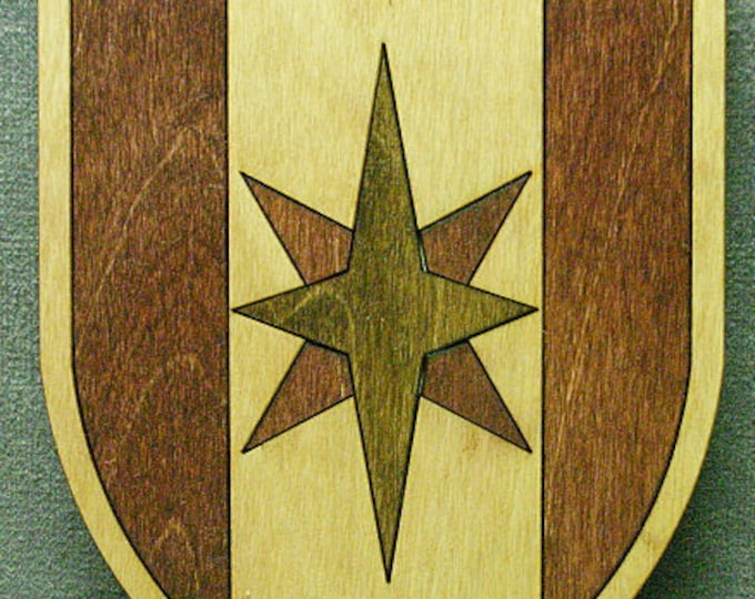 Custom 8x10 Medical Crest
