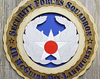 Air Force Commanders Badge Wall Tribute