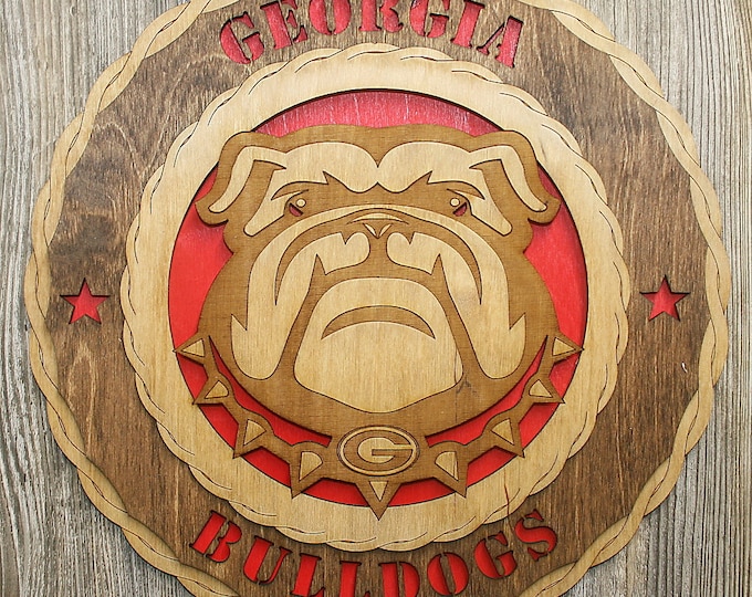 Georgia Bulldogs Wall Tribute