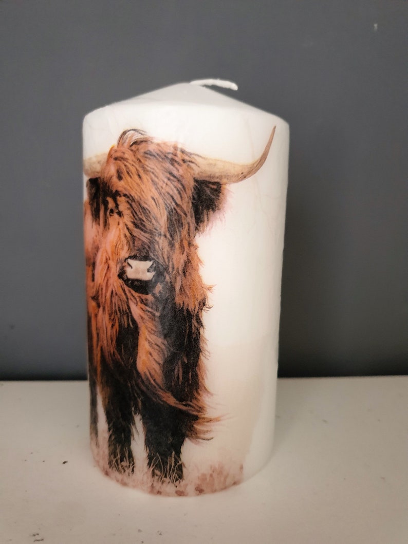Decorated highland cow candle Etsy
