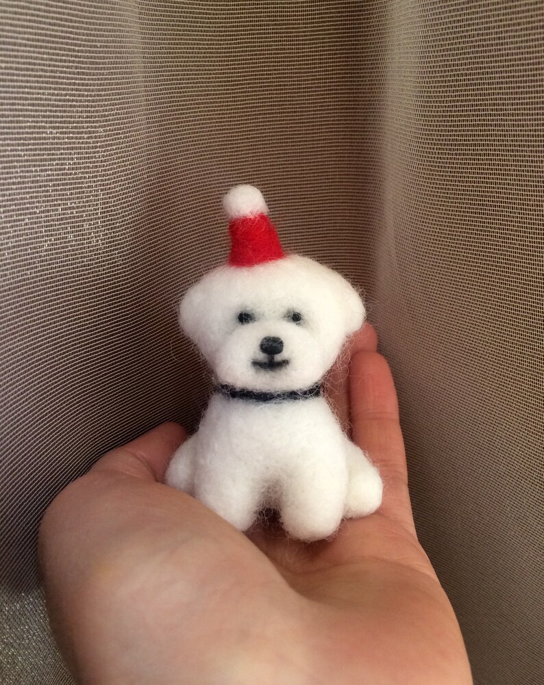 Car Pictures Bichon Frise Mini