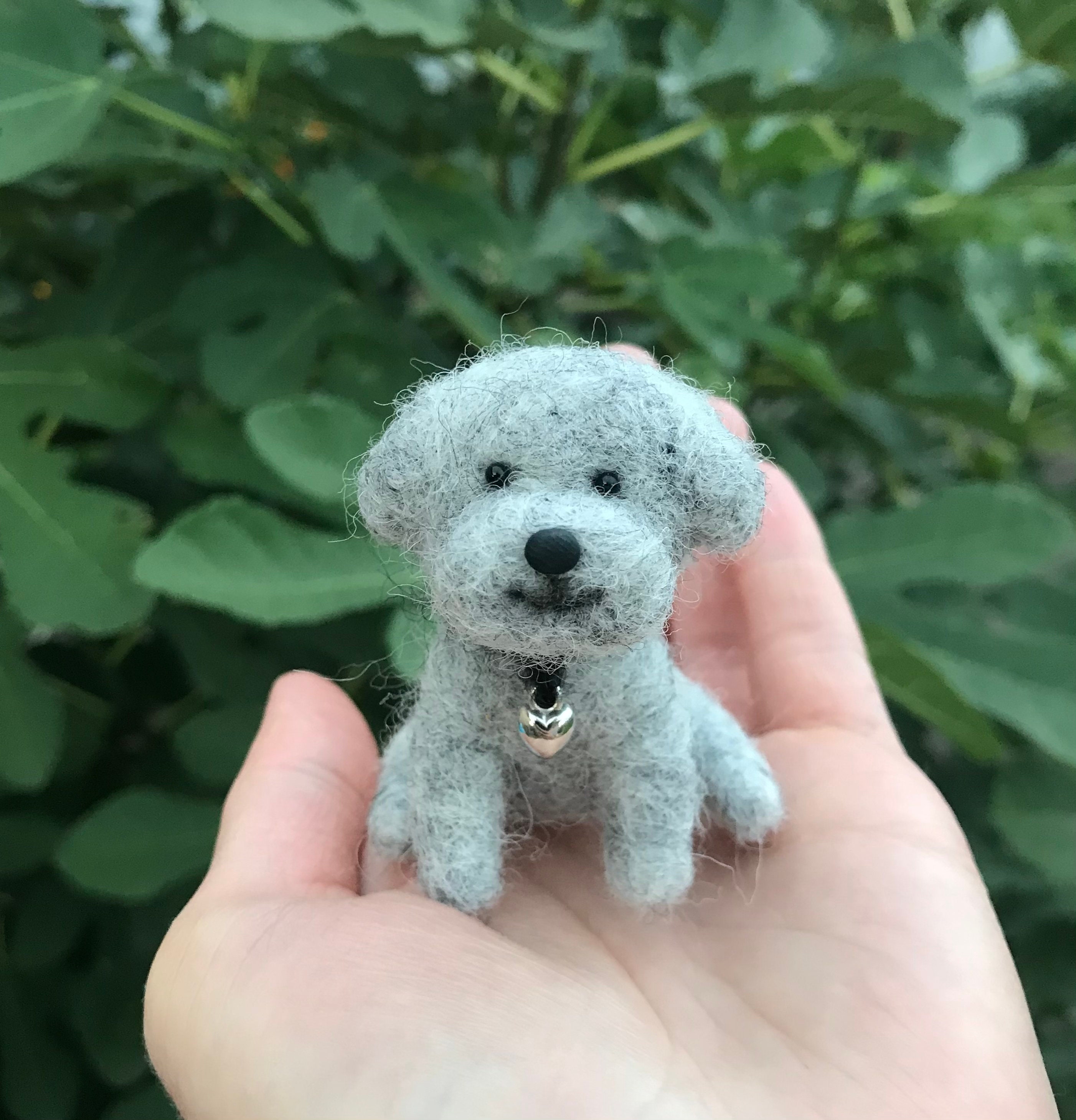 toy poodle gray