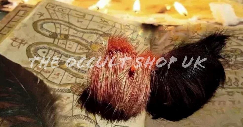 Rare Jackal Horn Gidar Singhi - Black Magic Powerful Talisman Rituals Curses Attraction Witch Spells Spirits Ghost Charm Metaphysic Mojo Hex