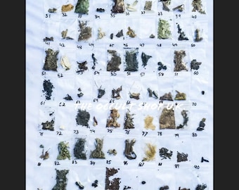 108 Rare Herb Set • Apothecary Kit for Herbalist • Witchcraft Herb Set • Magical • Witch • Medicinal Starter Kit • Wiccan • Enchanted Spells