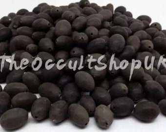 Divine Lotus Seeds - Highly Energised - Magical & Mystical Beads Wealth Charm Hindu Laxmi Puja Karma Mala Chakra Pendant Talisman Wicca Mojo