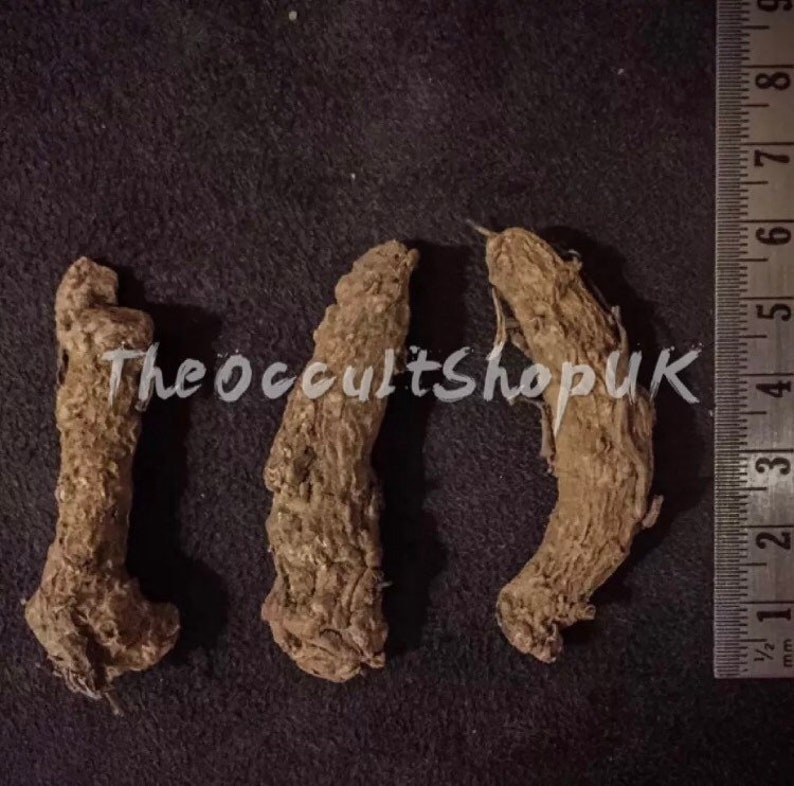 Rare Black Turmeric Root Protection From Magic Ghosts Etsy UK