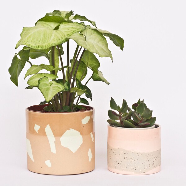 Brown and mint terrazzo planter pot. Small ceramic pot.