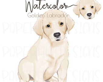 Akwarela, Złoty Labrador, Klipart: Ilustracja psa (Pobieranie cyfrowe)