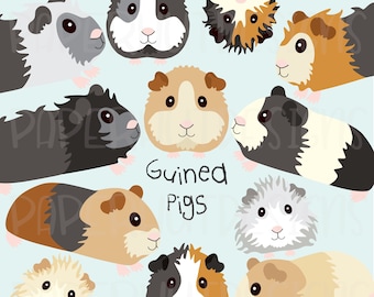 Download Guinea Pig Clipart Etsy
