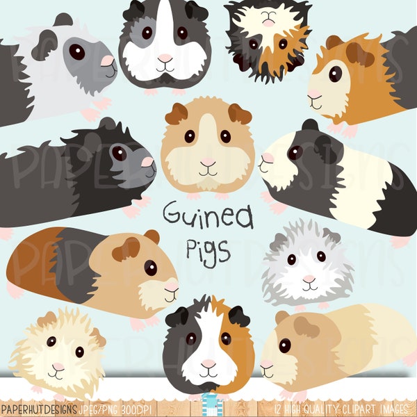 Guinea Pigs Clipart|Cute GuineaPigs Clip Art|Guinea Pigs Faces|Guinea Pig digital graphics