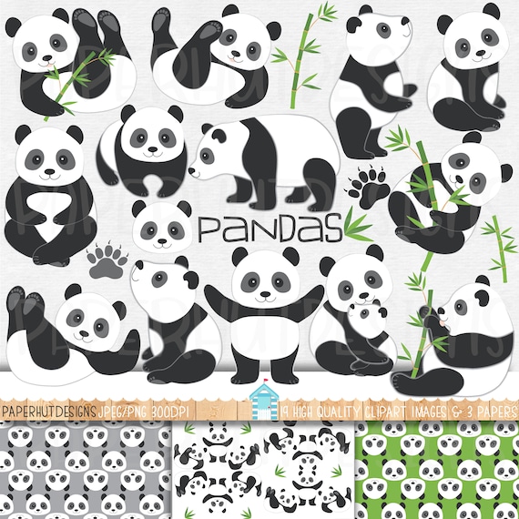 Panda Clipart and Digital Papers Set: Digital Download
